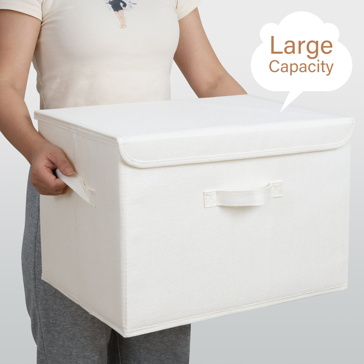 Extra Large 2-Pack Storage Bins with Lids & Holder