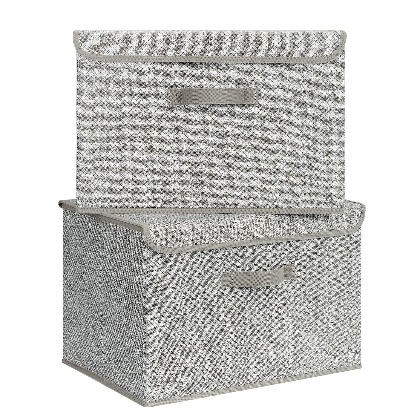 Extra Large 2-Pack Storage Bins with Lids & Holder