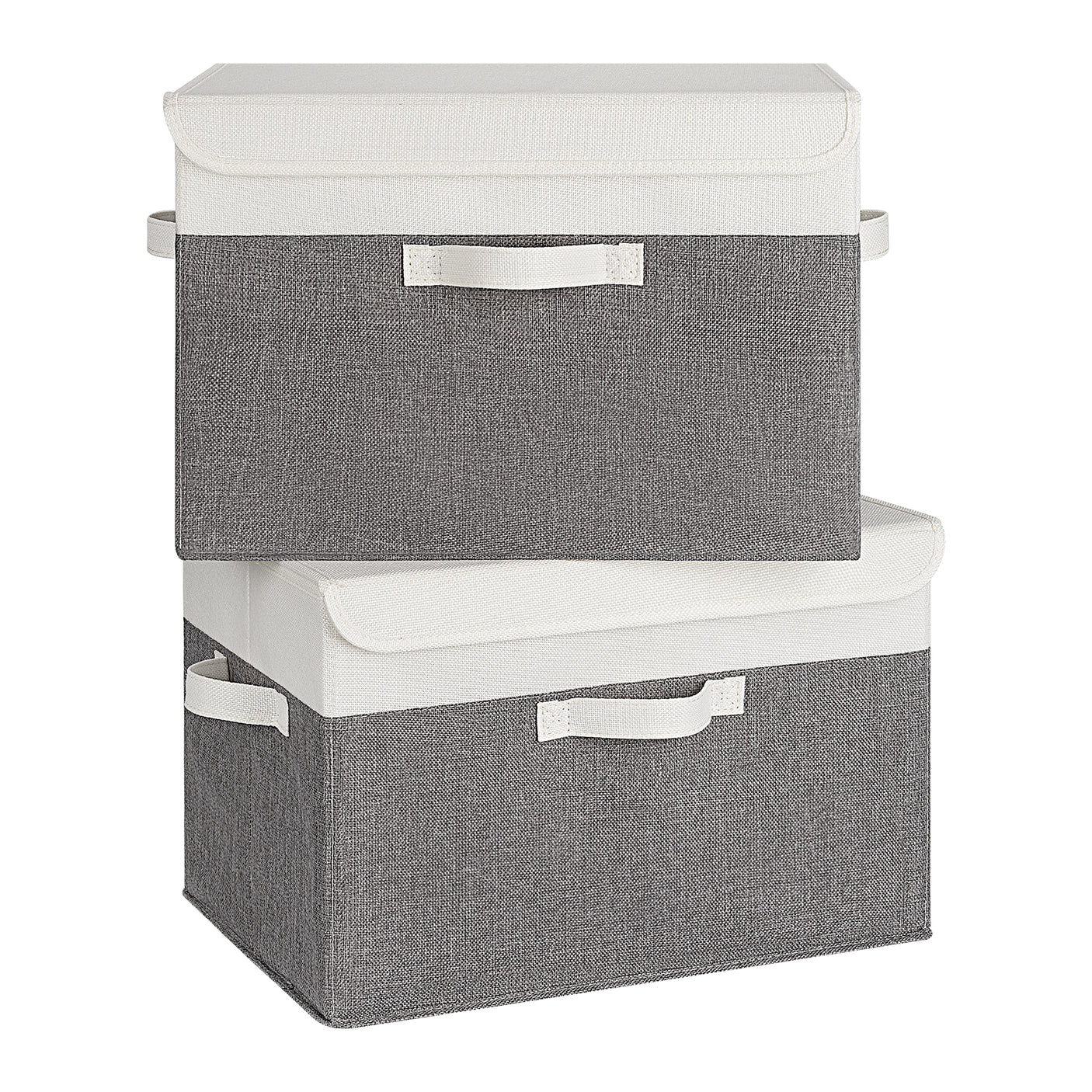 Extra Large 2-Pack Storage Bins with Lids & Holder