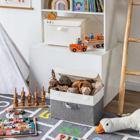 Storage Bins with Flip-up Lids