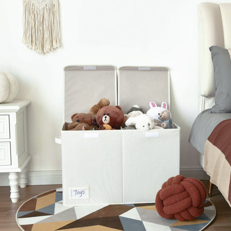 Large Storage Bins with Lids and Label Holder