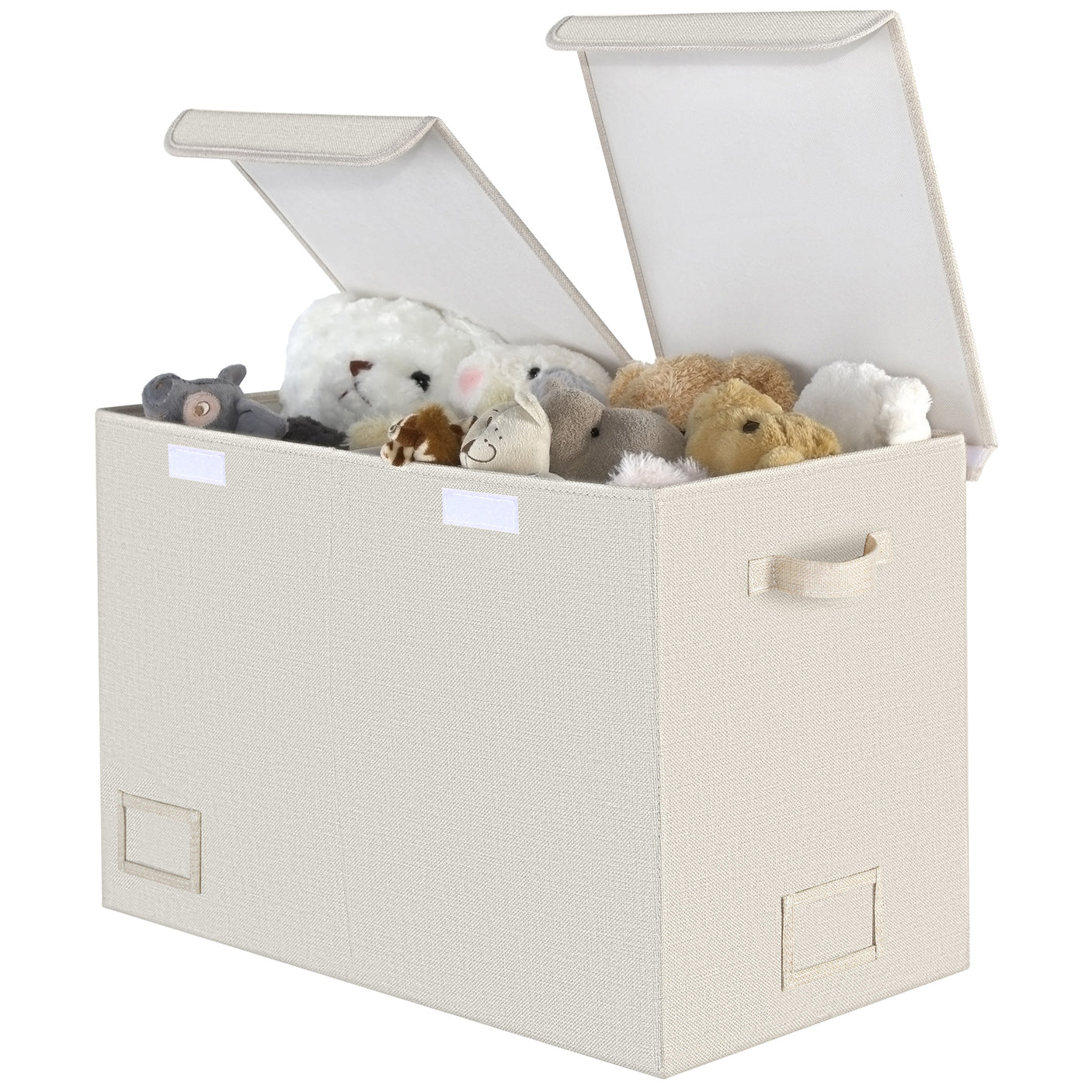 Large Storage Bins with Lids and Label Holder