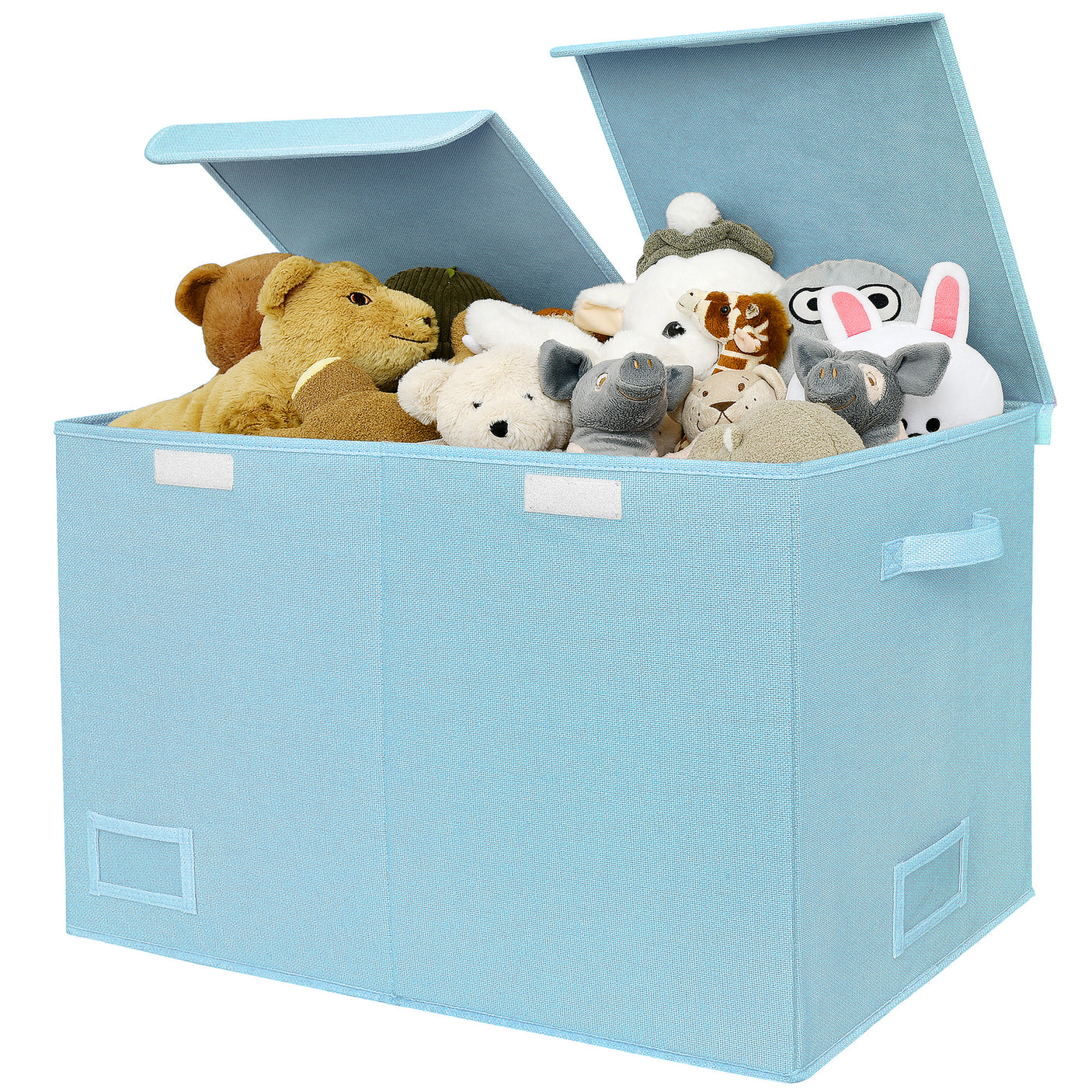Large Storage Bins with Lids and Label Holder