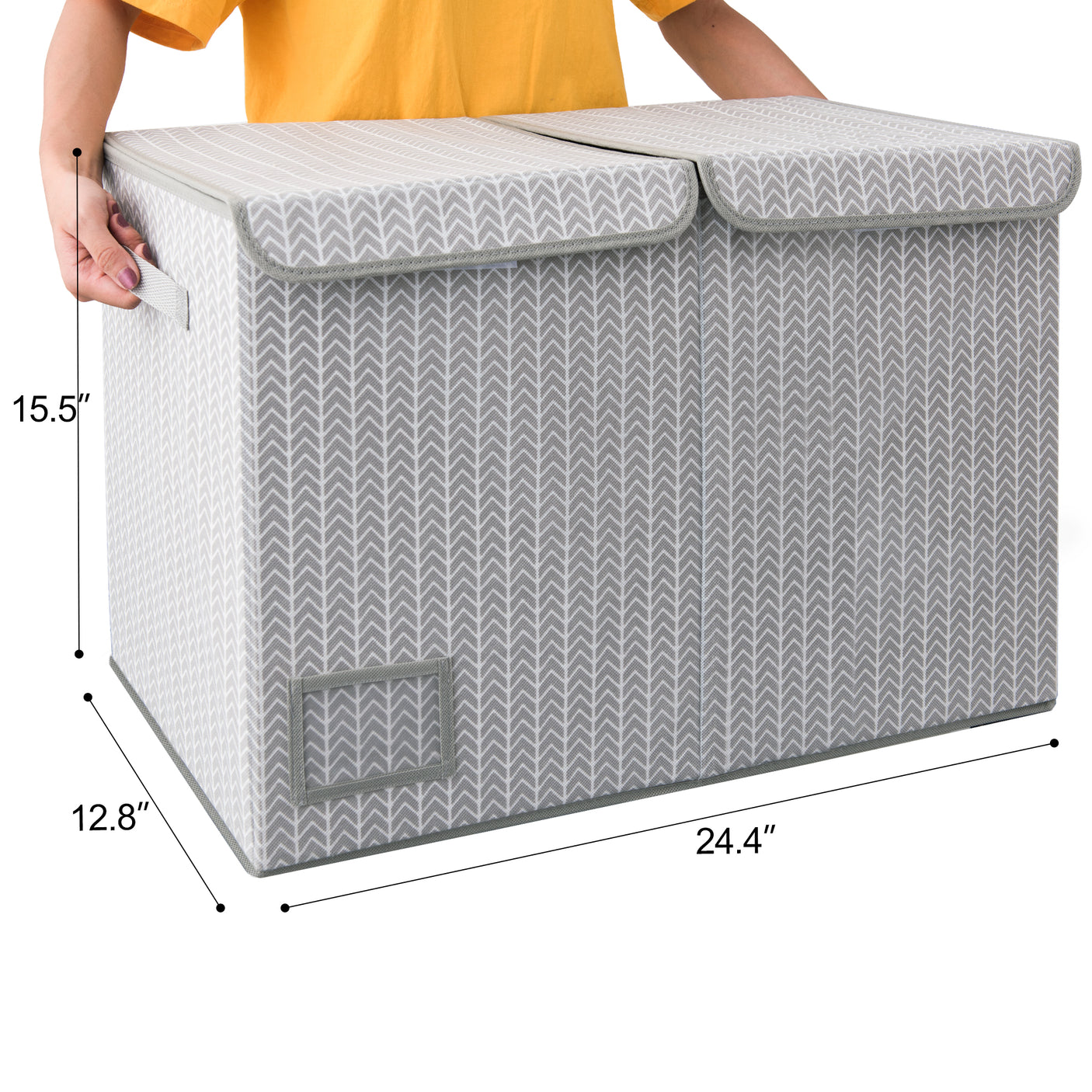 Large Storage Bins with Lids and Label Holder
