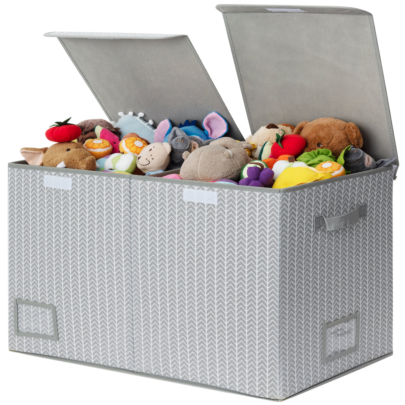 Large Storage Bins with Lids and Label Holder
