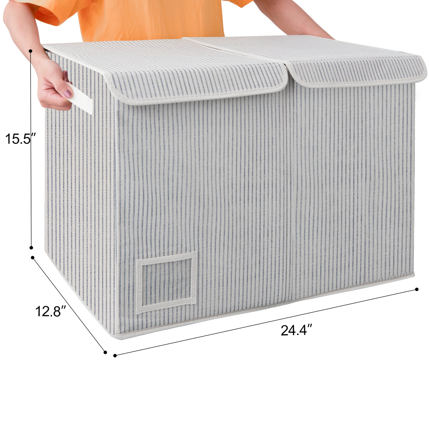 Large Storage Bins with Lids and Label Holder