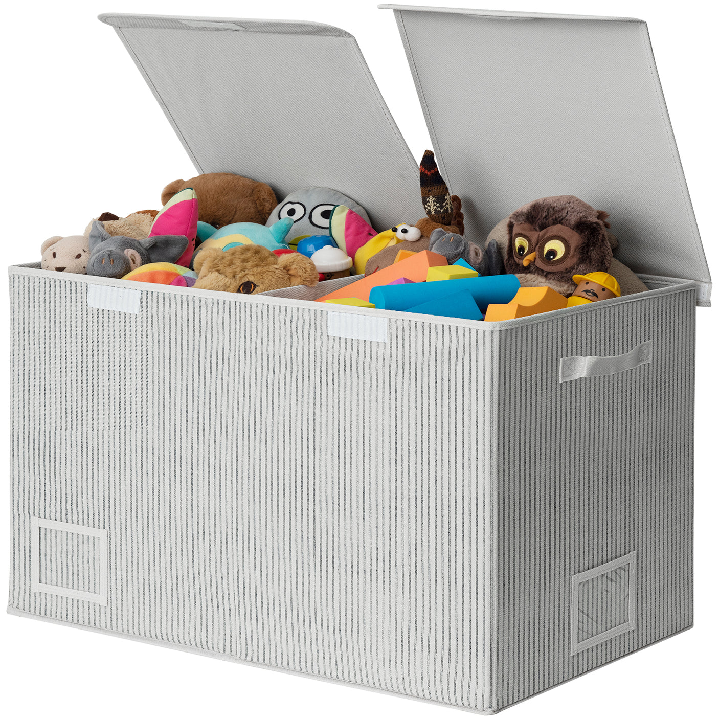 Large Storage Bins with Lids and Label Holder