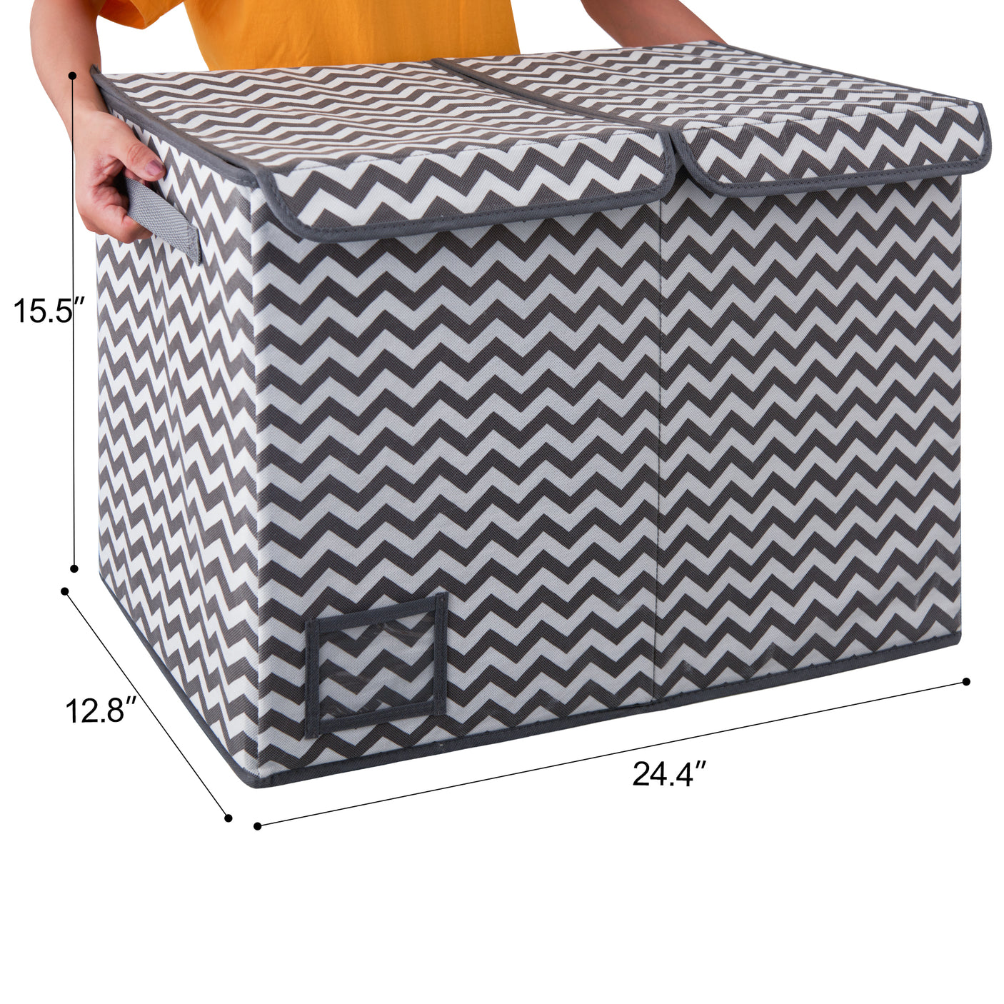 Large Storage Bins with Lids and Label Holder