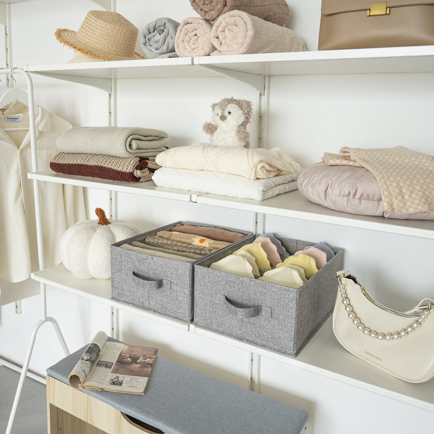 🍀Closet Storage Organizers, Pack of 2