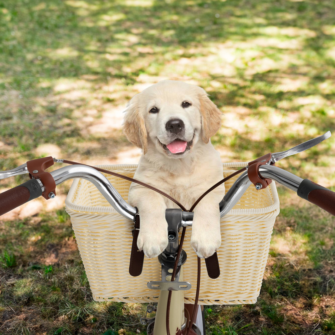 Detachable Wicker Bike Basket for 5 Color