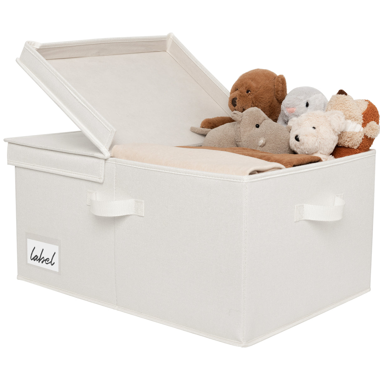 🍀Extra Large Storage Bin with Lid