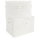 Extra Large 2-Pack Storage Bins with Lids & Holder