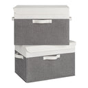 Extra Large 2-Pack Storage Bins with Lids & Holder