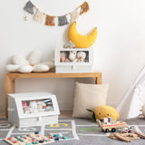 Storage Bins with Clear, Front-opening Lids