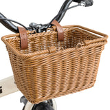 Grils' Bike Basket with Extra Handles