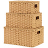 🍀Nesting Wicker Storage Baskets with Lids, Pack of 3